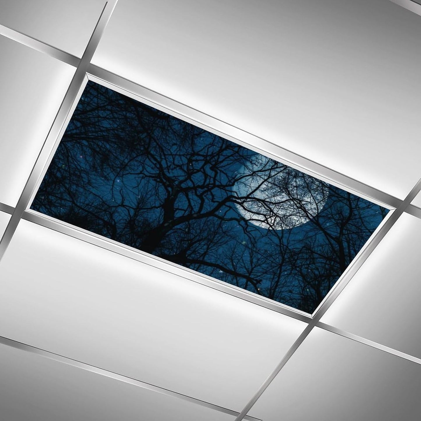 2PCS 4x2Feet(Night RoseFace Fluorescent Light Covers for Classroom Ceiling Lights Magnetic Light Covers,Fluorescent