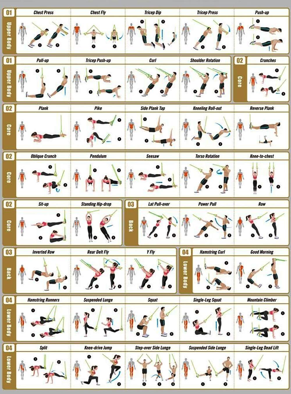 Training All-in-One Suspension Trainer Exercise Equipment Bundle,Bodyweight Fitness Resistance Trainer Kit with Pro Straps for Door Pull up Bar, Anchor Point for Complete Body Workouts V1