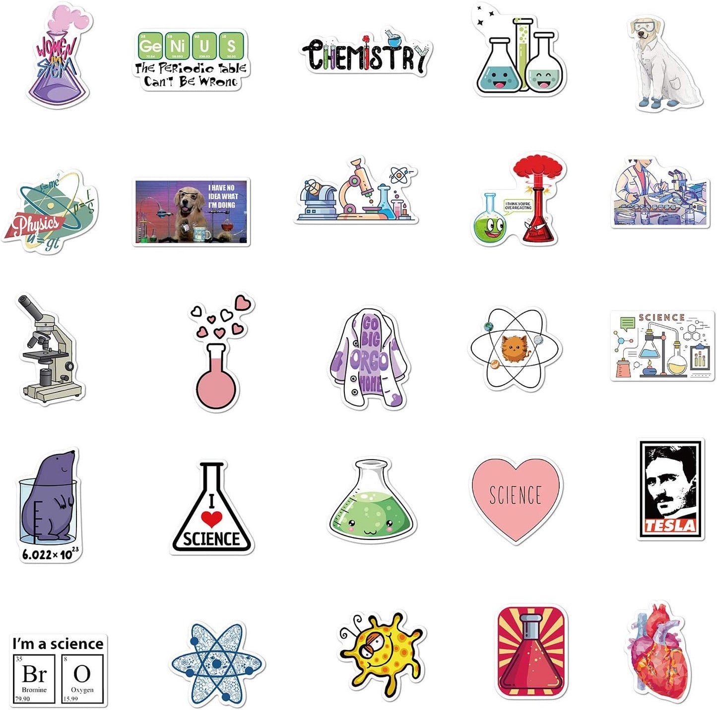 DLZJY 50PCS Funny Science Laboratory Stickers, Laboratory for Teens Adults, Physics Biology Chemistry Experiment