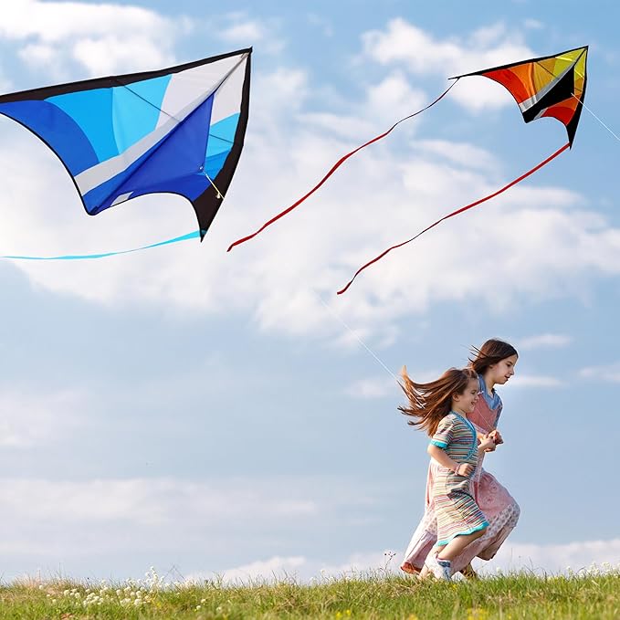 Delta Beginner Kite for Kids & Adults, Easy to Fly Beach Kite