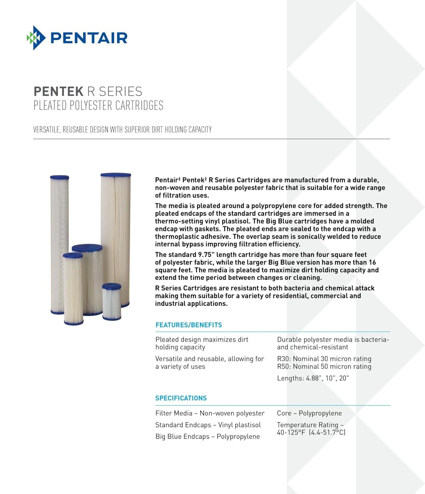 Pentair Pentek R30-20BB Big Blue Sediment Water Filter, Whole House Pleated Polyester Filter Cartridge, 20" x 4.5", 30 Micron, Pack of 2