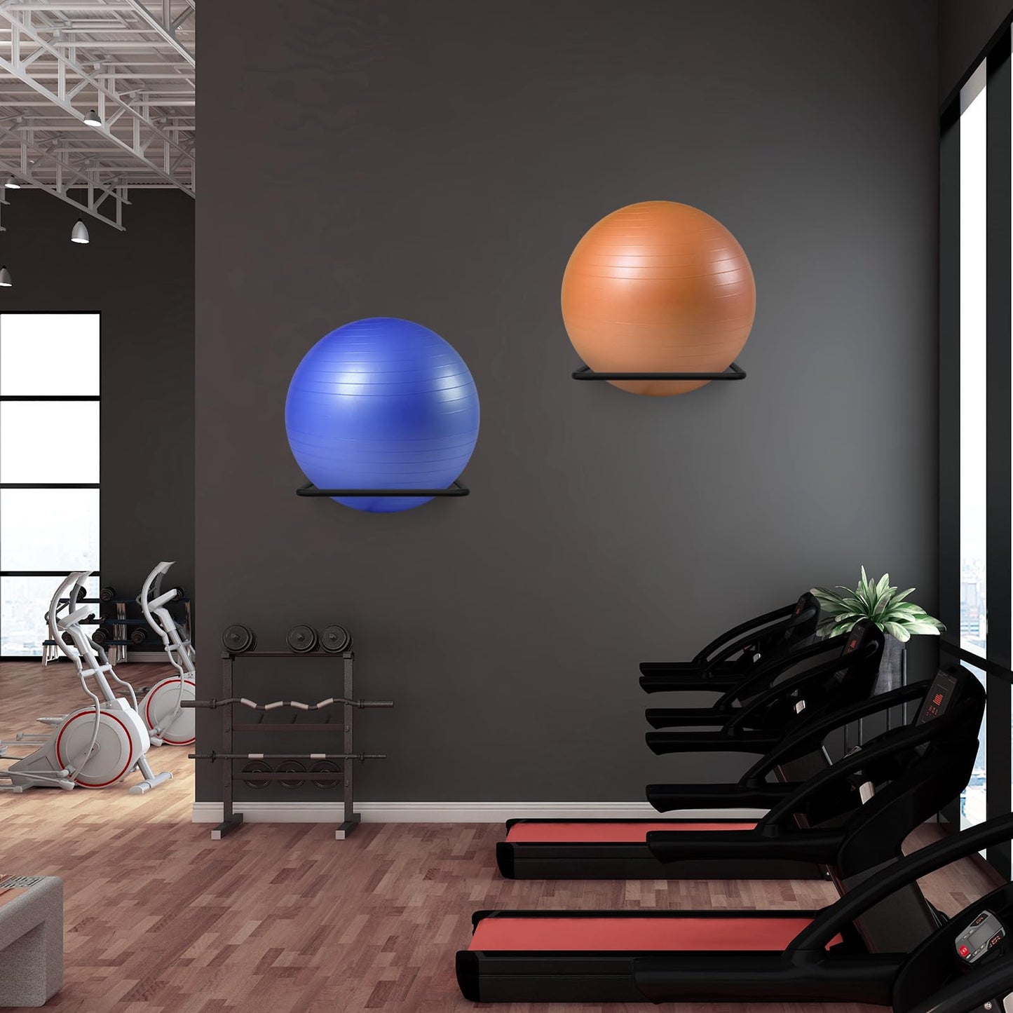 DNYLHRLZ Large Stability Ball Wall Rack - Yoga Ball Storage Rack for Studio, Gym or Home (1 Black)