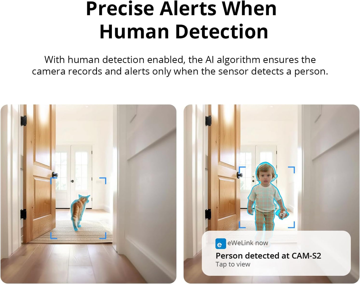 SONOFF CAM-S2 Smart Security Camera, Indoor HD Dog-Camera, Motion Detection for Baby and Pet Monitor