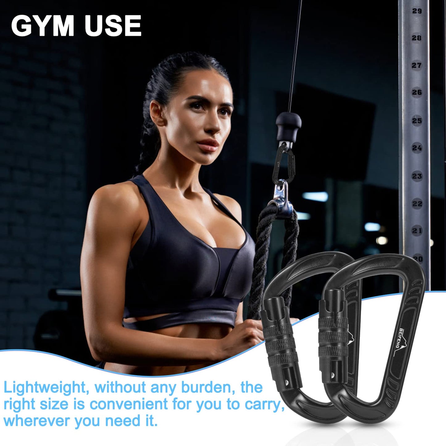 BEIFENG Heavy Duty Lightweight Locking Carabiner Clips D Ring for Camping Hiking Outdoor Gym etc, Carabiner with Lock Small Carabiners for Dog Leash & Harness (Auto Locking Black-4Pcs)