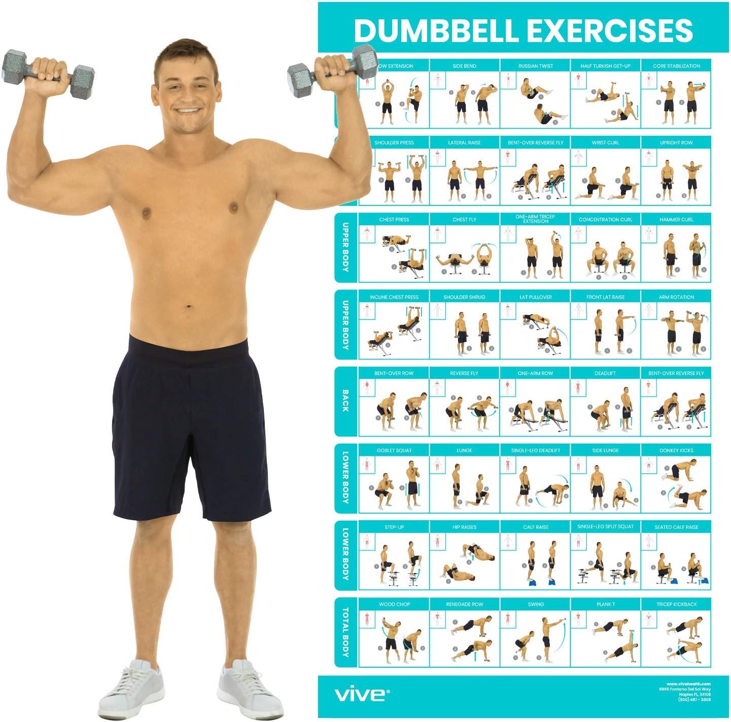 Vive Dumbbell Workout Poster - Comprehensive Home Gym Exercise Guide | Laminated Bodyweight Chart (30" x 17")