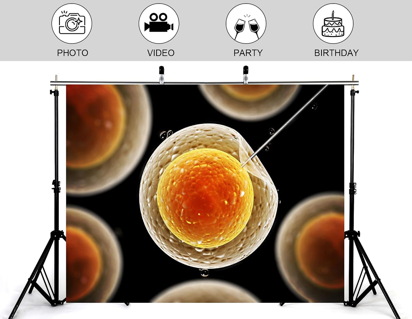 KeyWork 8x5ft Egg Cell Fertilization Backdrop Reproductive Medical Photography Background for Science Fair Health Event