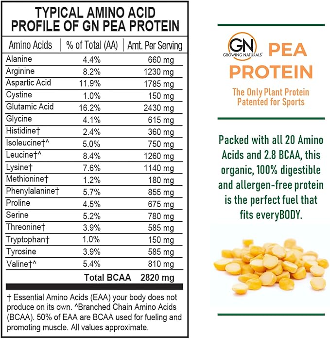 Raw Pea Protein Powder, Vegan Plant Based Protein, BCAA, Low-Carb, Low-Sugar, Original Unflavored, 2 Pound (Pack of 1)