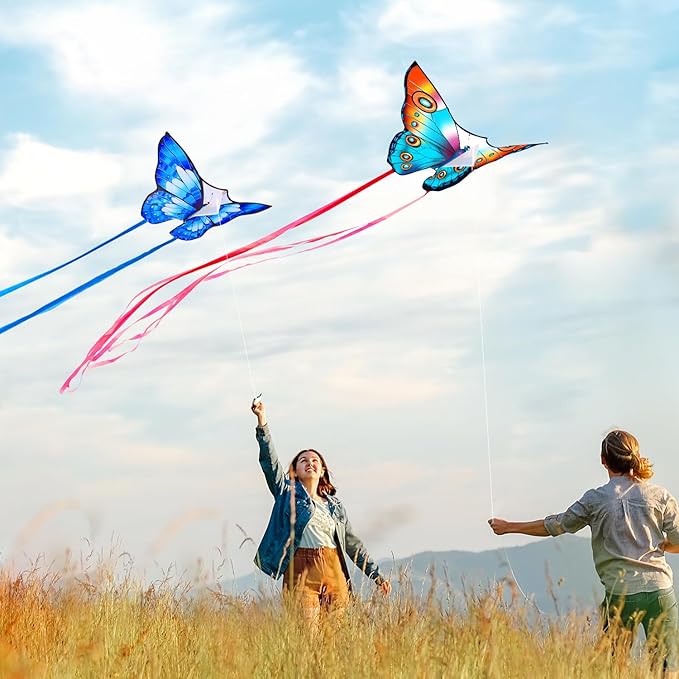 Xida Butterfly Kite for Kids & Adults, Easy to Fly, Ages 4-8, Large Kite with 300ft Handle, Perfect for Beach Trips