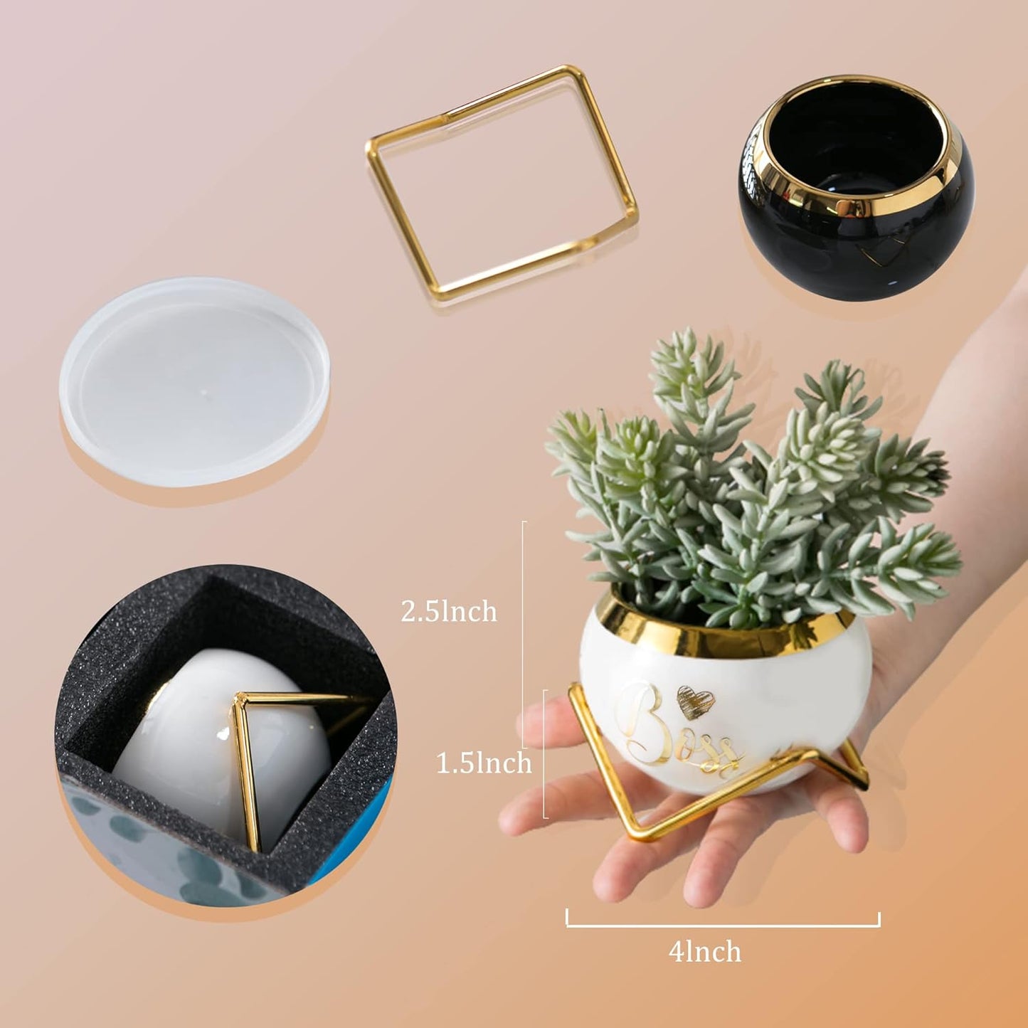 PeraBella Boss Gifts for Women | Thoughtful Succulent Pots - Perfect for Boss's Day & Birthdays - 3 Pcs