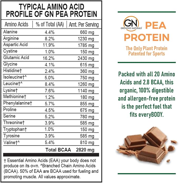 Raw Pea Protein Powder, Vegan Plant Based Protein, BCAA, Low-Carb, Low-Sugar, Chocolate Power, 1 Pound (Pack of 1)