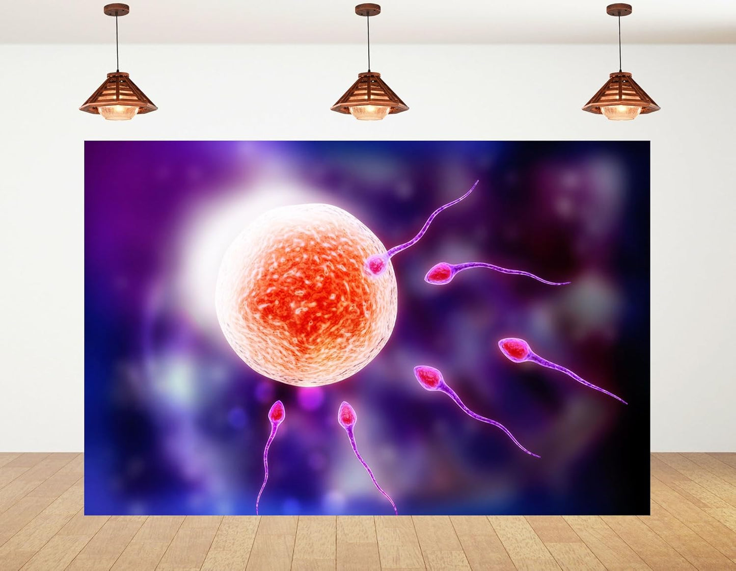 KeyWork 8x5ft Human Fertilization Illustration Backdrop Reproductive Science Photography Background for Health Fair