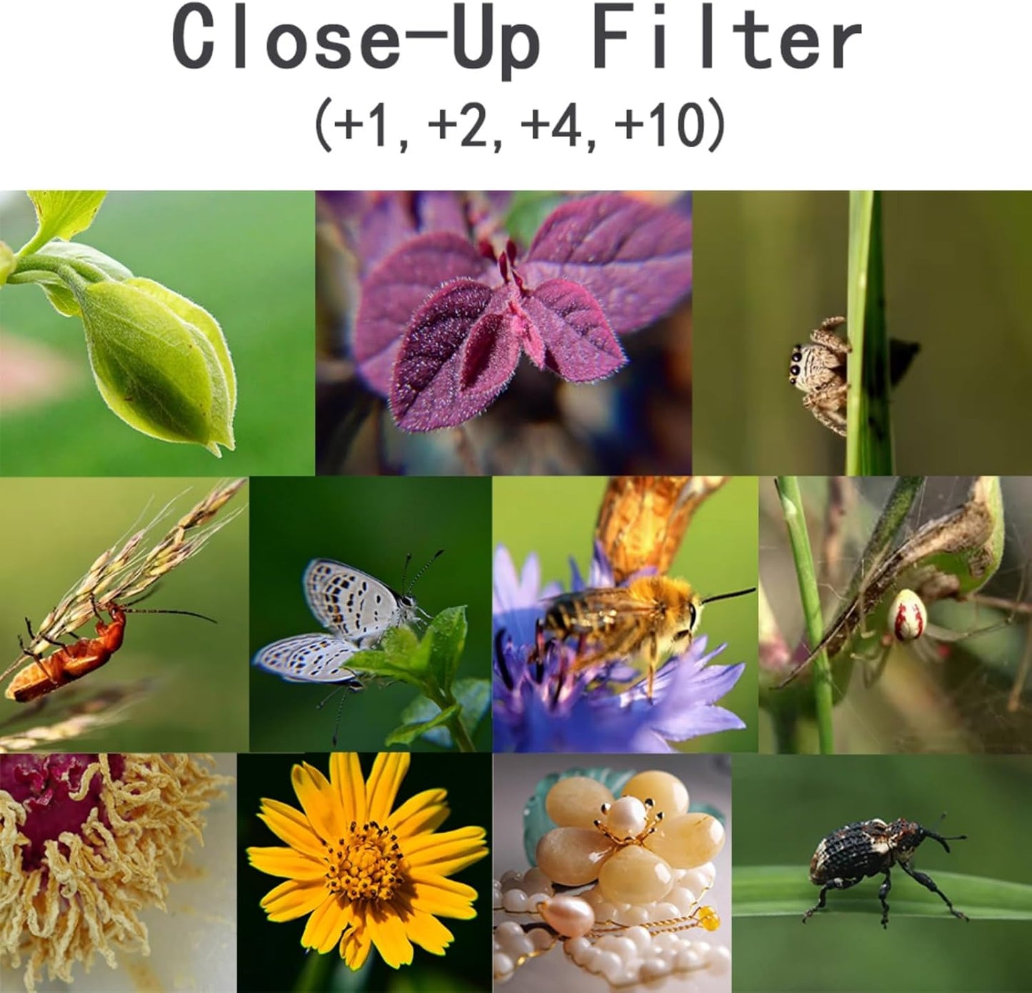 YOFOTIXAUU 82mm 4 (+1 +2 +4 +10) Set, (82mm) Close-Up Lens Filters Kit Pieces Macro Filter Lens Cap & Cleaning Cloth