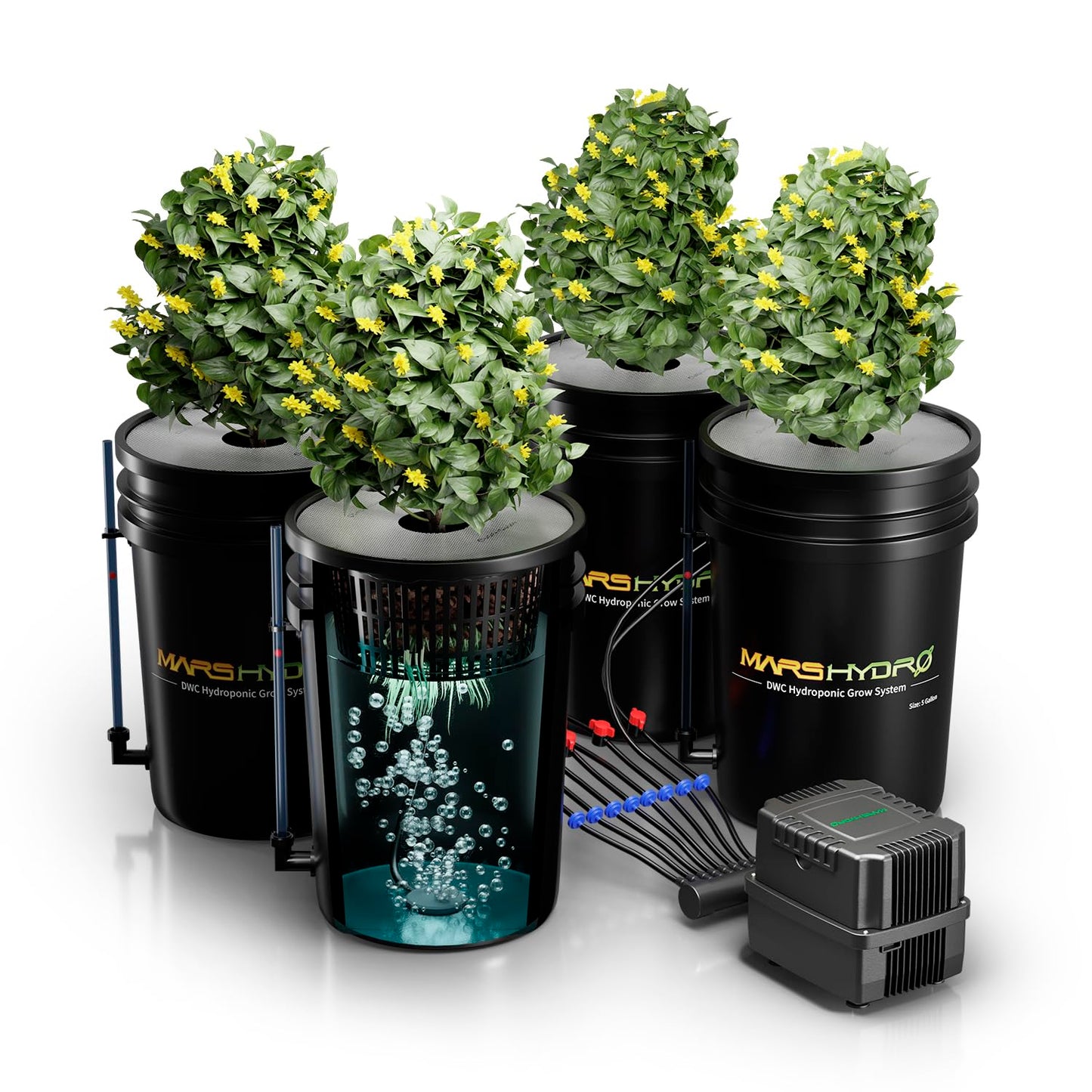 MARS HYDRO DWC Hydroponics Grow System Kit with Recirculating Top Drip, 11W Air Pump, Air Stone, Hose & 4 Buckets, 5 Gallon Deep Water Culture Indoor Hydroponic System