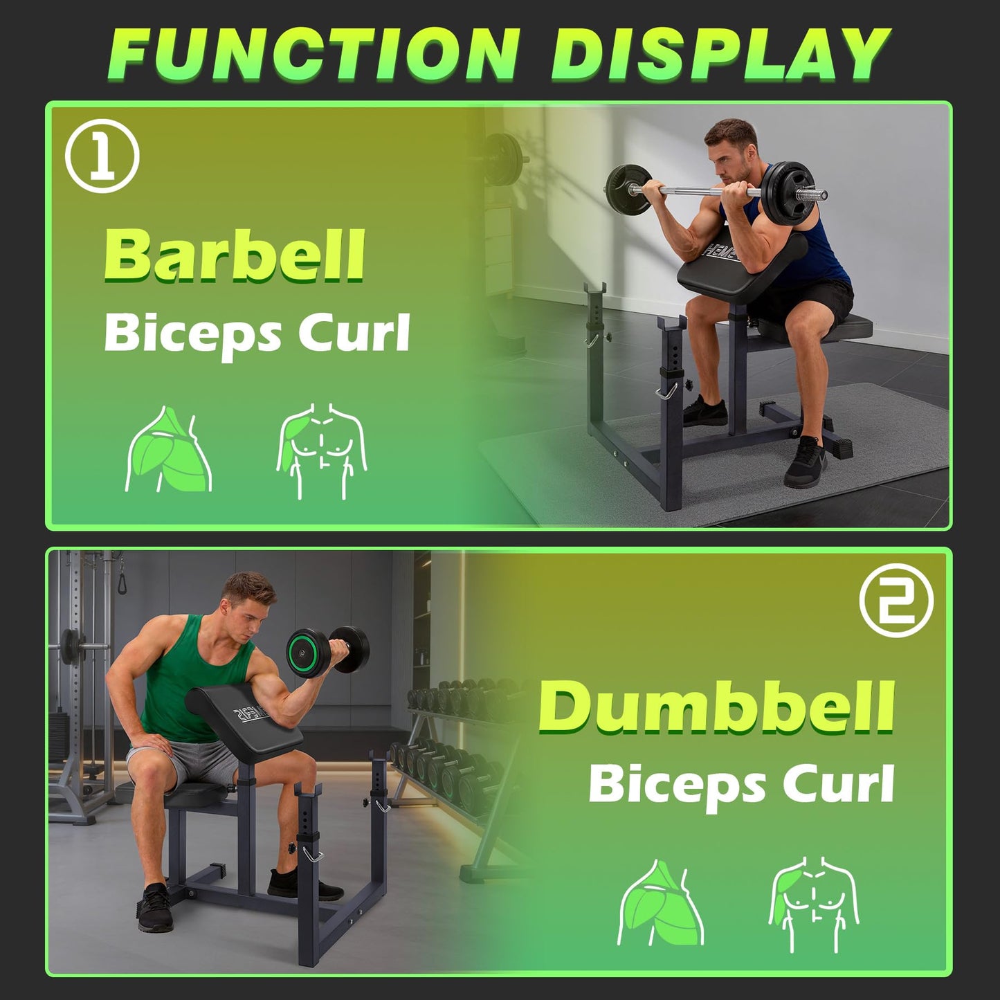 HEMERIS Preacher Curl Bench, Max Load 450 LBS Strength Training Bench Home Gym Bench Fitness Equipment,6-Level Seated Barbell Dumbbell Bicep Curl Machine Weight Bench(Black)