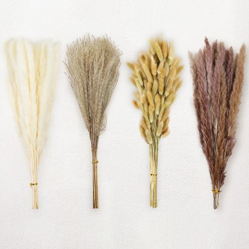 Le courant 17" 100Pcs Dried Pampas Grass Decor, Naturally Small Boho Pampas Grass with Bunny Tails & Reed Grass for Home Table Decor, Wedding, Rustic Farmhouse Party Decorations, White and Brown