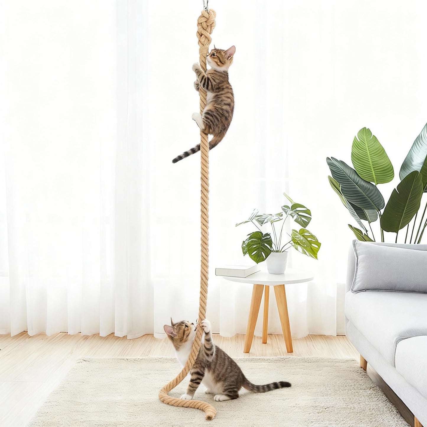 GINDOOR 2" x 9.8Ft Cat Climbing Rope with Hook, Natural Sisal Ropes for Ceiling and Wall Mounted, Durable Space Saving Cat Climbing Jute Rope Toy with Scratching Kitten Rope for Indoor and Outdoor