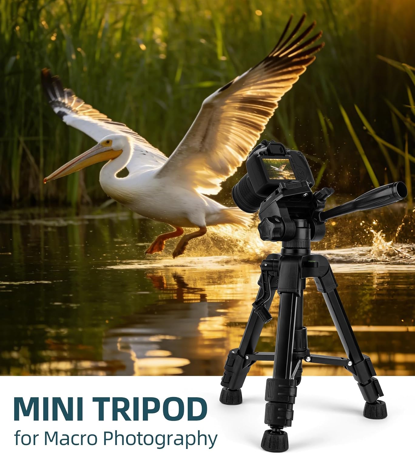 Artisorama 25'' Mini Tripod for Camera, Small Tabletop Travel Camera Stand, Compact Portable Desk Lightweight Tripods