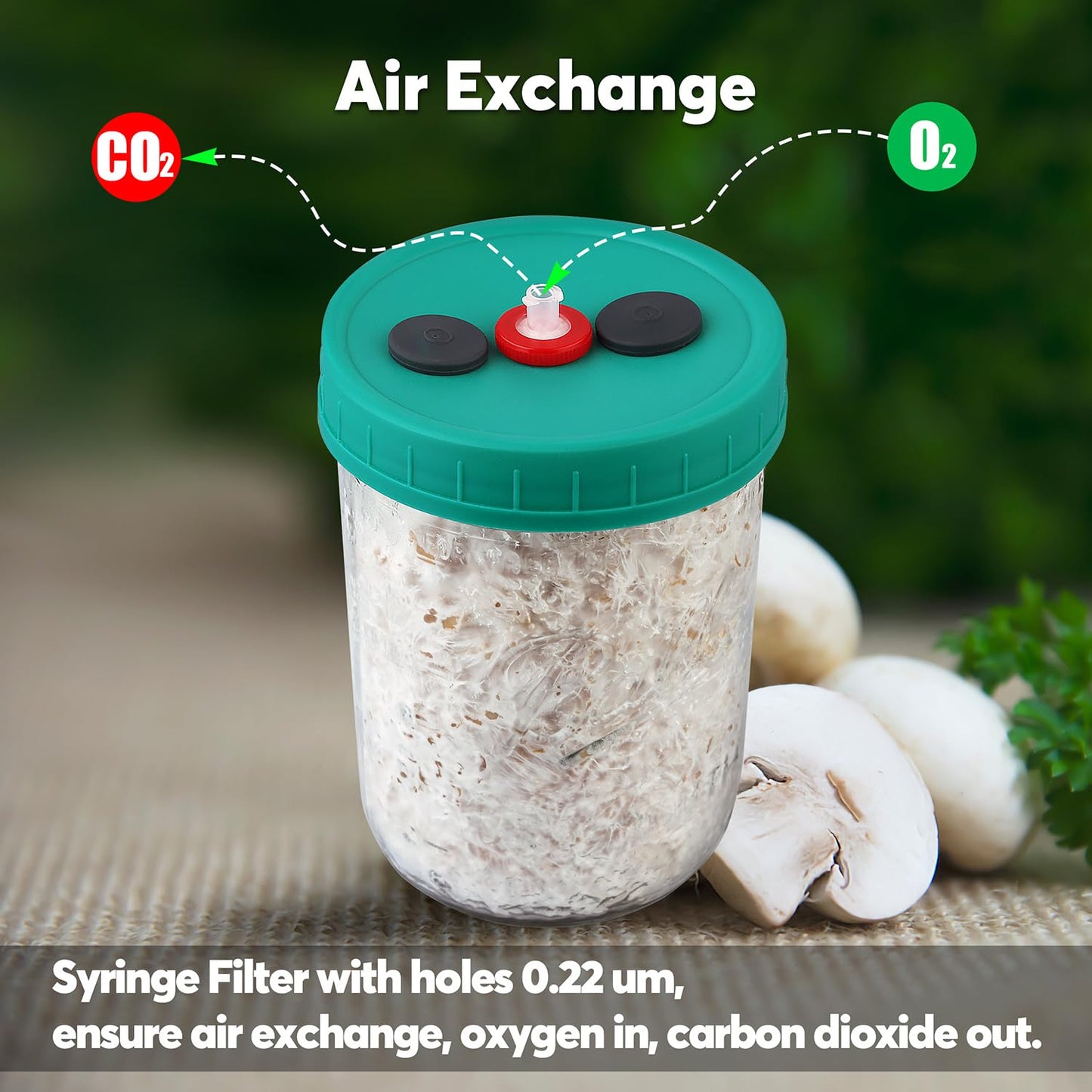 MOFOGDR Mushroom Liquid Culture Jar with Self Healing Sealing Injection Port & Syringe Filter Port Mycology Supplies Mushroom Inoculation, Cultivation, Growing Kit 500 ML, 6PCS|PACK