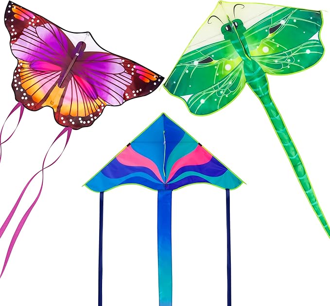 Large Kites for Adults Kites for Kids Ages 4-8， 8-12 Beach Park Outdoor Game Activities, Gifts for Easter and Festival
