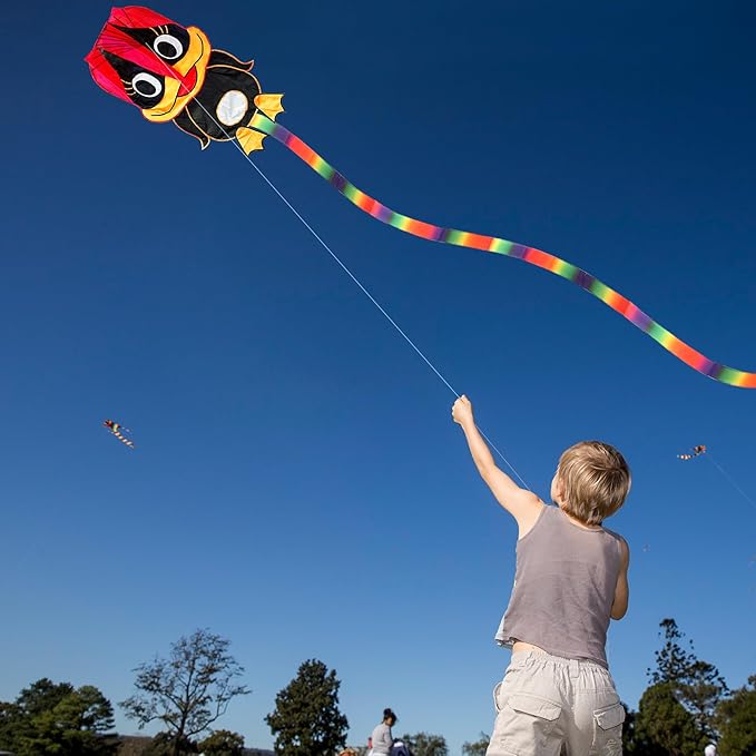 Duck Pattern Kites for Kids, Cute Large Kite Duck Kite with Long Colorful Tail for Kids & Adults, Easy to Fly Kite for Beginners Outdoor Activities