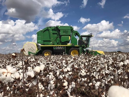 Grown In The USA Raw Cotton Stuffing - Eco-Friendly 3lb Natural Batting Material