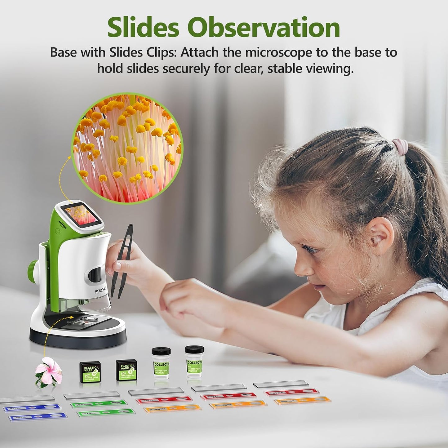 BEBANG 4K 2.0" 1000X 4-12 Set, 32G Detachable Kids Handheld Microscope Miniscope - HD Screen, Digital Pocket Toy