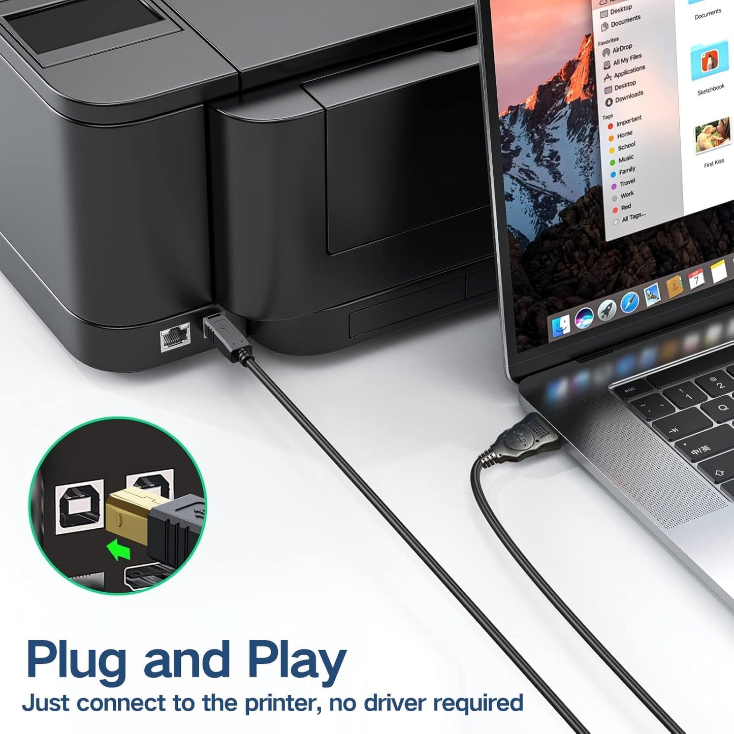 30ft 2.0 USB A to B Printer Cable for Printers, Scanners & Copiers High-Speed Data Transfer | Durable Construction |