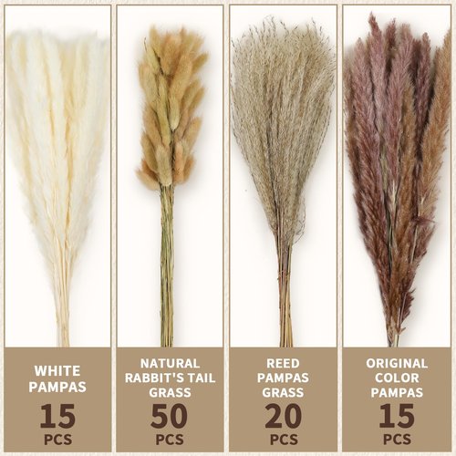 Le courant 17" 100Pcs Dried Pampas Grass Decor, Naturally Small Boho Pampas Grass with Bunny Tails & Reed Grass for Home Table Decor, Wedding, Rustic Farmhouse Party Decorations, White and Brown