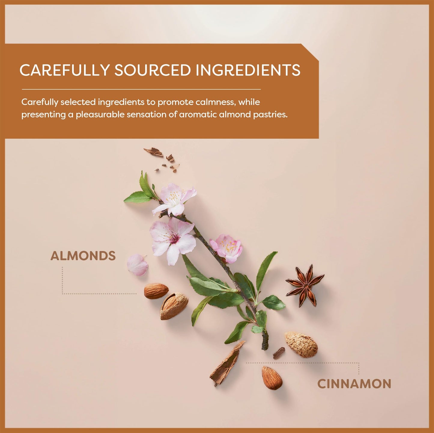 Wissotzky Almond Charm Herbal Tea Bags (3 Pack - 60 Tea Bags) | Caffeine Free | “AKA Chemdat Hashaked” | Delicious Aroma