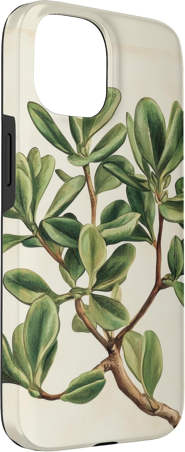 Antique Plant Botanical Art Garden DonaOnca 15 Succulent Jade Plant Vintage Scientific Illustration Plant Case