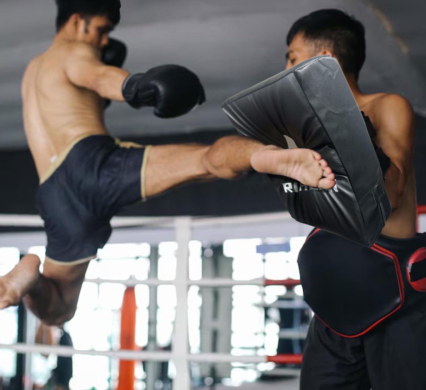 RIHEAN Martial Arts Kicking Shield Pad for Muay Thai, Taekwondo Football, Basketball, Hockey Training, 12x16in Denser Foam High-Density PU Leather Cover - Blackx2