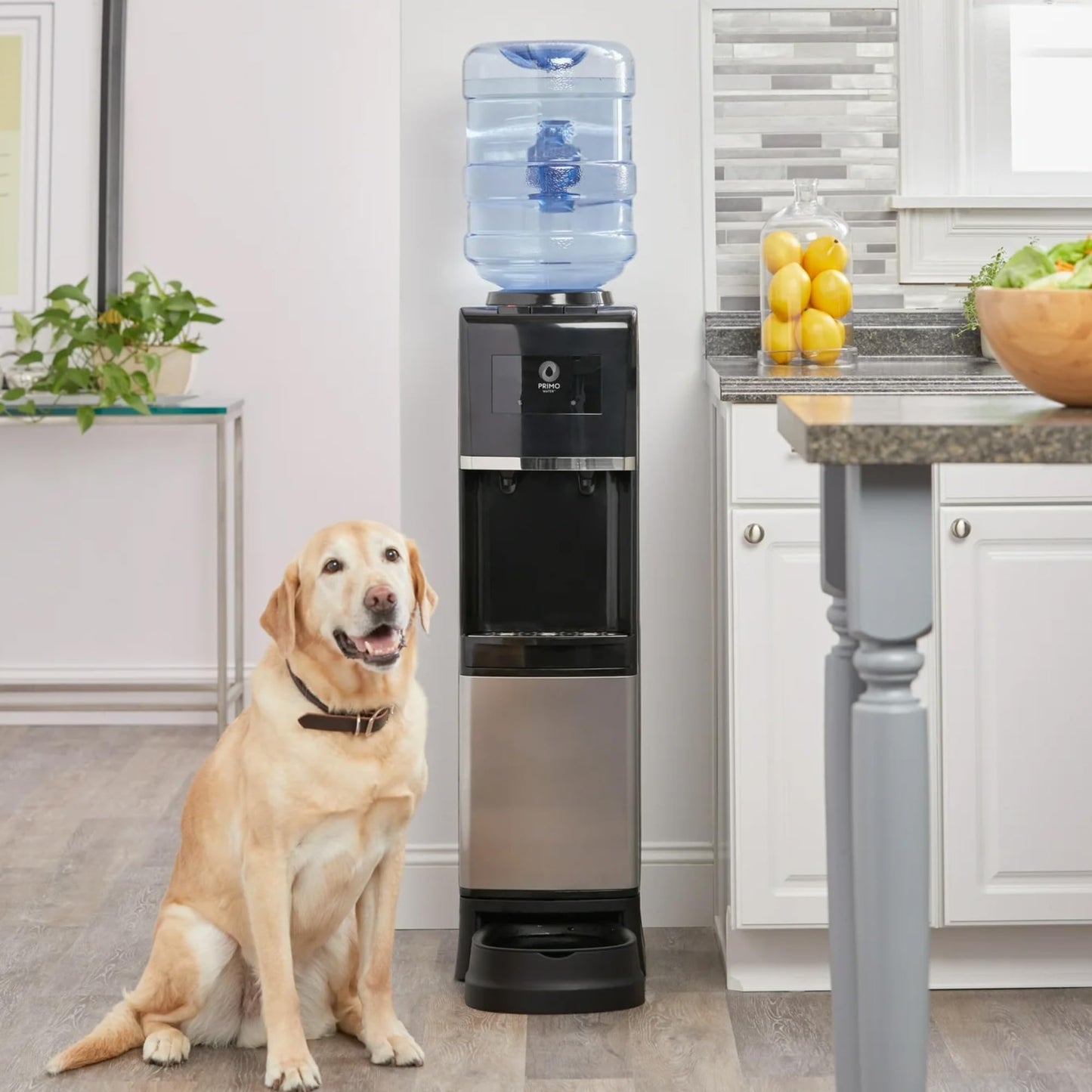 Primo Water Dispenser for 5 Gallon Bottle with Pet Drinking Station - Hot & Cold Top Loading Water Cooler Machine