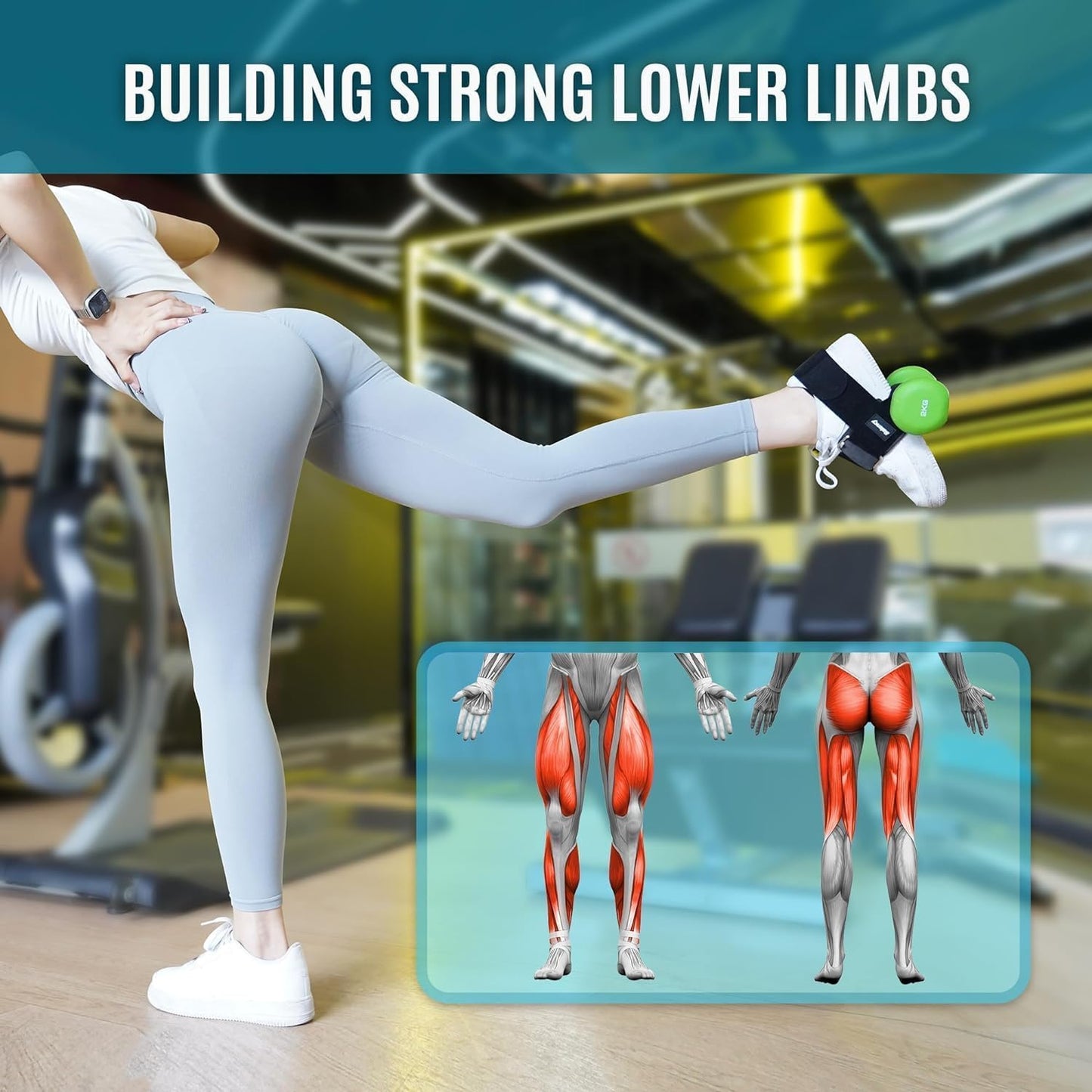 Dumbbell Foot Attachment for Leg Workout, Dumbbell Attachment Straps, Tibialis Trainer, Ankle Straps for Dumbbells, Dumbbells Foot Strap for Weight Lifting,Shin Splint,Hamstring Curls,Leg extensions