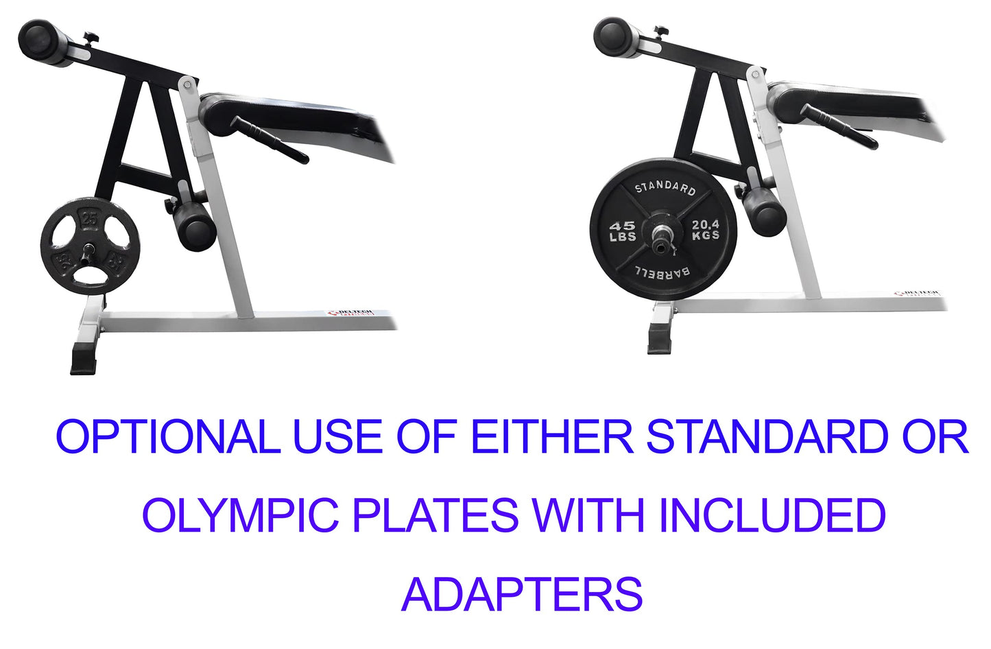 Leg Extension/Leg Curl Machine by Deltech Fitness