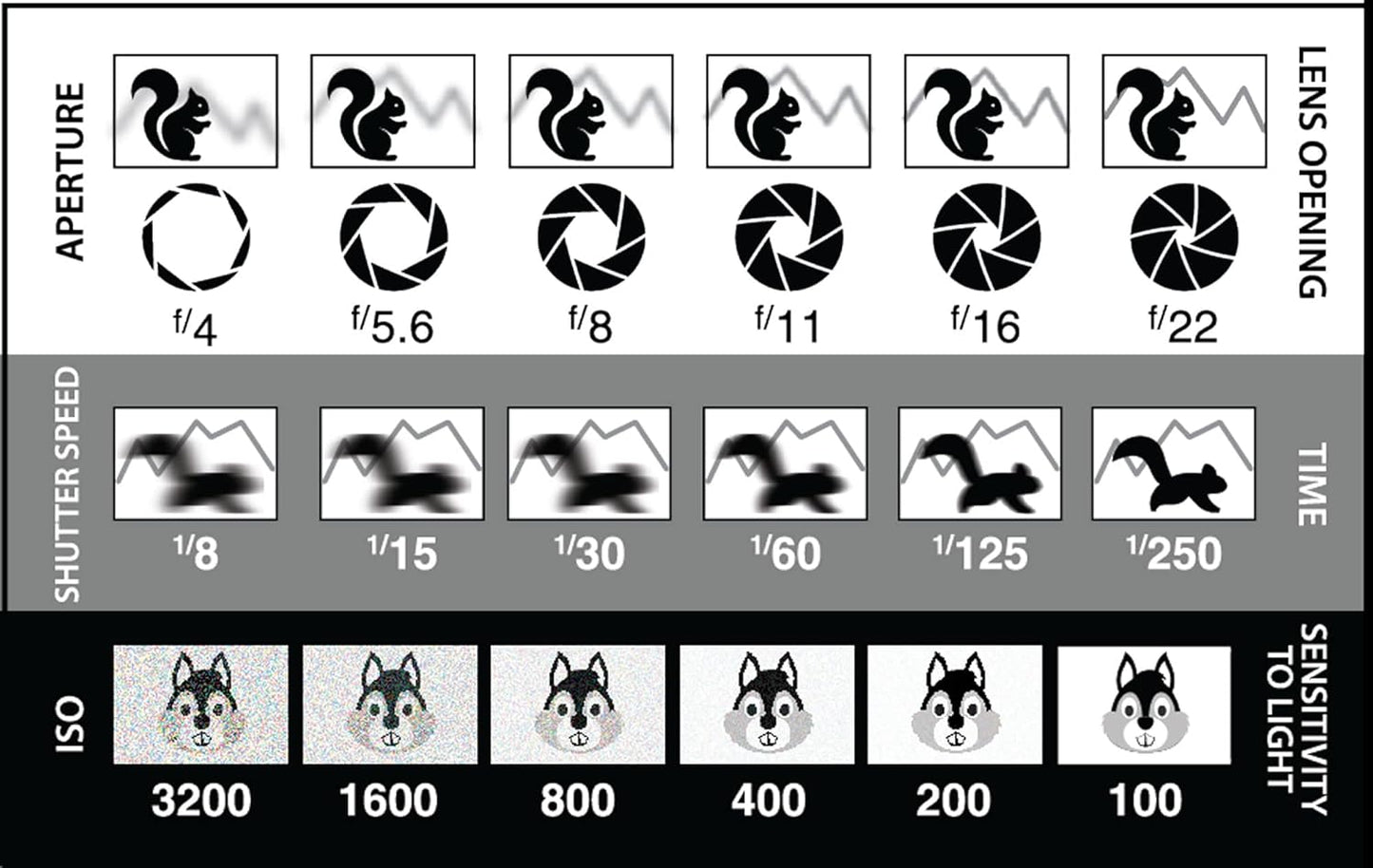 (2 Pack) DSLR/mirrorless Photography Cheat Sheets Credit Card Size Reference Card Fits in Pocket/Wallet/Camera Bag.