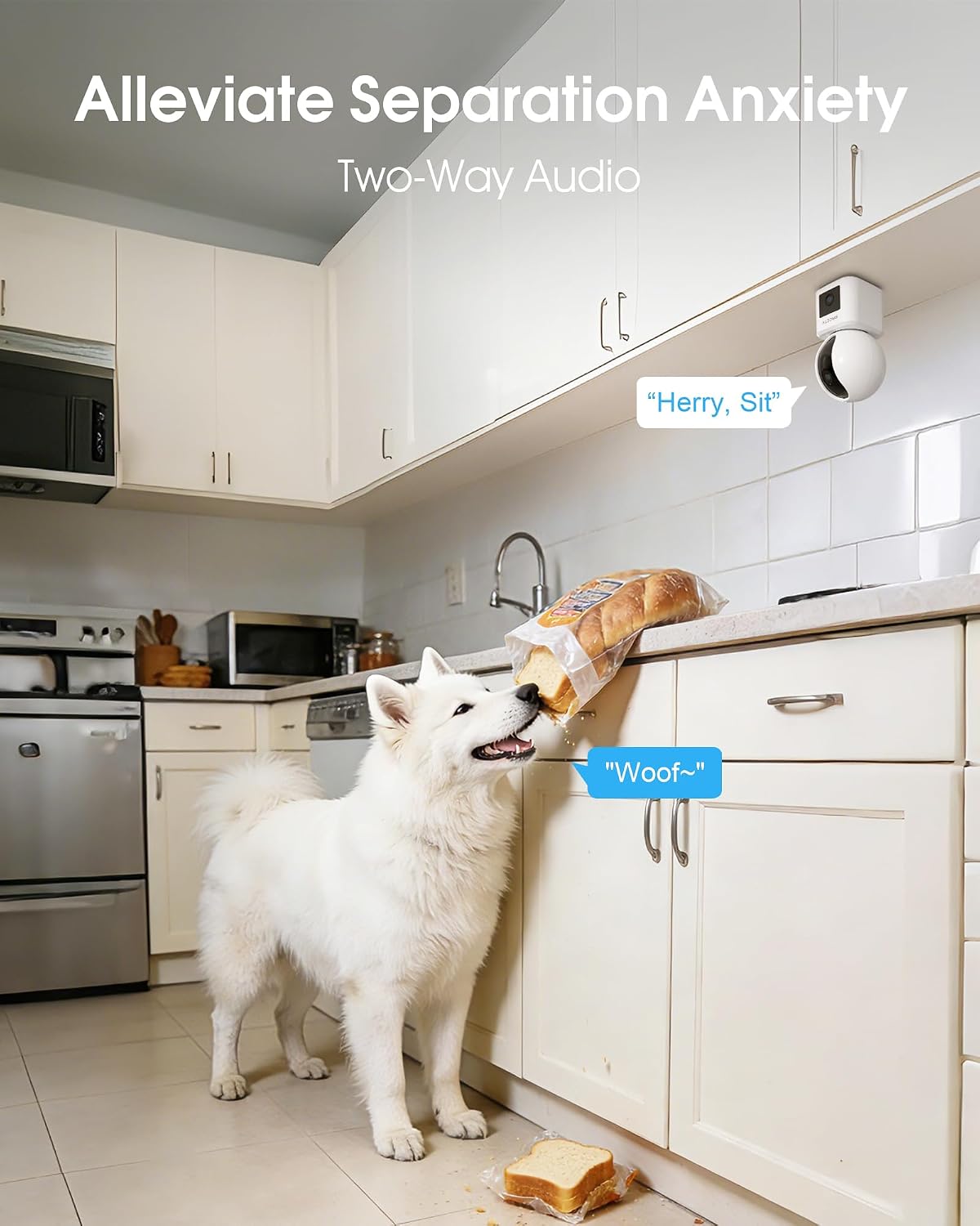 ARCCTV 2.5K 6 360 5GHz 2-Way Dual Lens Indoor Security Camera, WiFi Pet Camera with Phone App, Dog Camera for Home