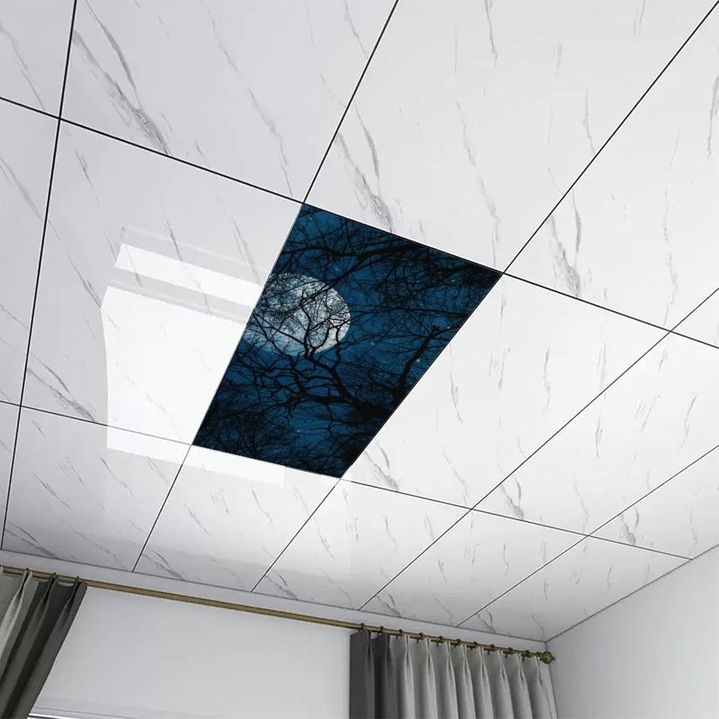 2PCS 4x2Feet(Night RoseFace Fluorescent Light Covers for Classroom Ceiling Lights Magnetic Light Covers,Fluorescent