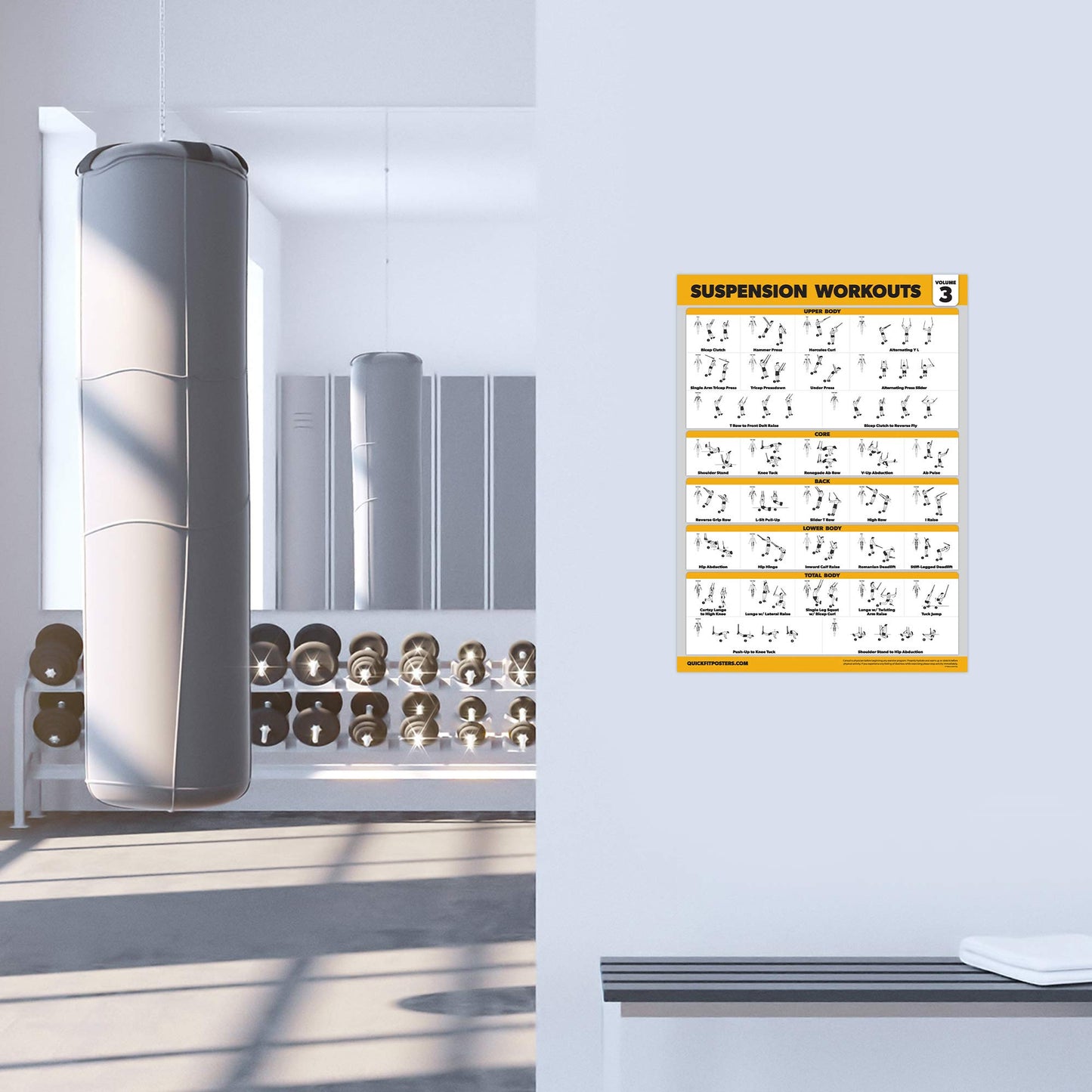 Palace Learning 3 Pack Suspension Workout Posters - Volume 1, 2 & 3 - Exercise Charts (LAMINATED, 18" x 24")