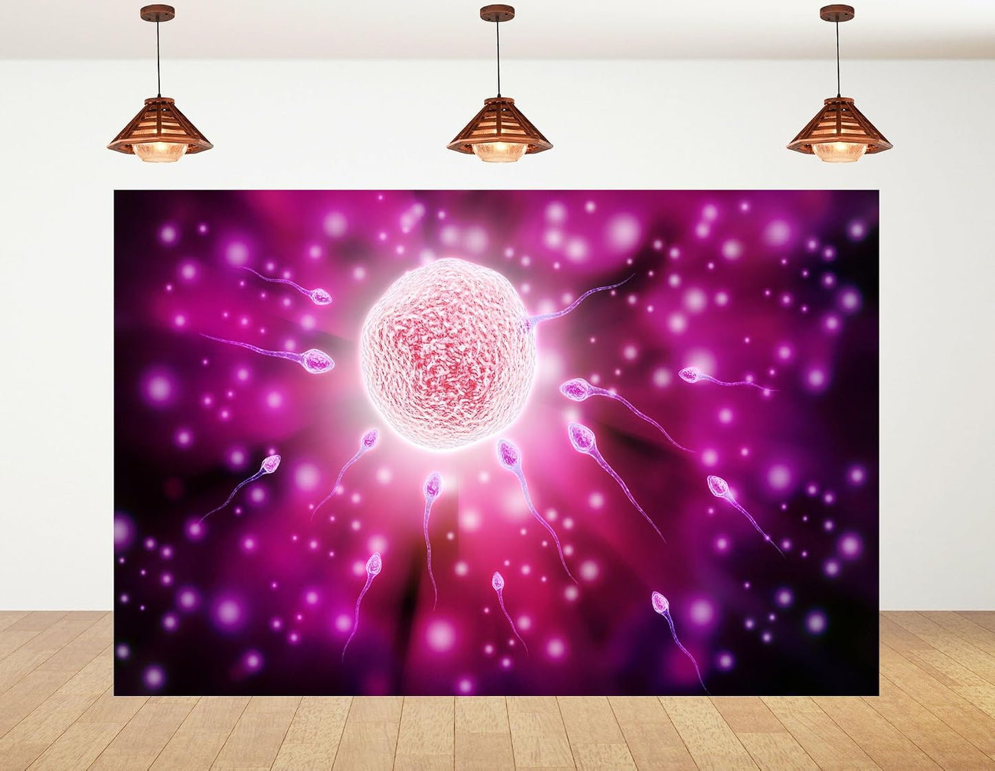 KeyWork 8x5ft Fertilization Science Illustration Backdrop Reproductive Biology Photography Background for Health Fair