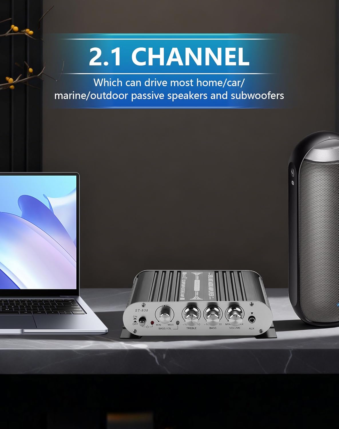 2.1 20Wx2+40W DC12V 3A CERRXIAN Mini Stereo Audio Subwoofer Amplifier, Channel HiFi AMP Board AUX/RCA Input Home Audio