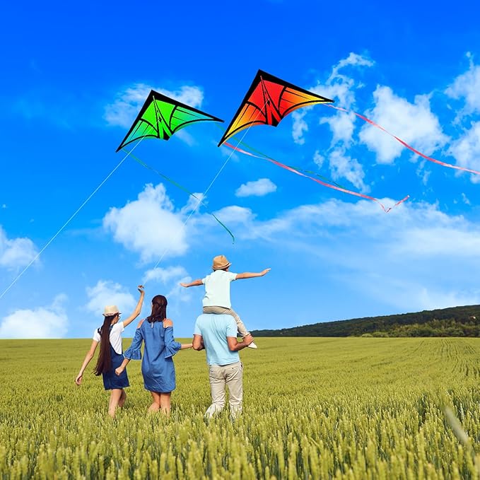Large Delta Kite for Kids & Adults - Easy to Fly Outdoor Kites for Kids Ages 8-10, Perfect for Beach & Family Activities, Includes Line & Handle