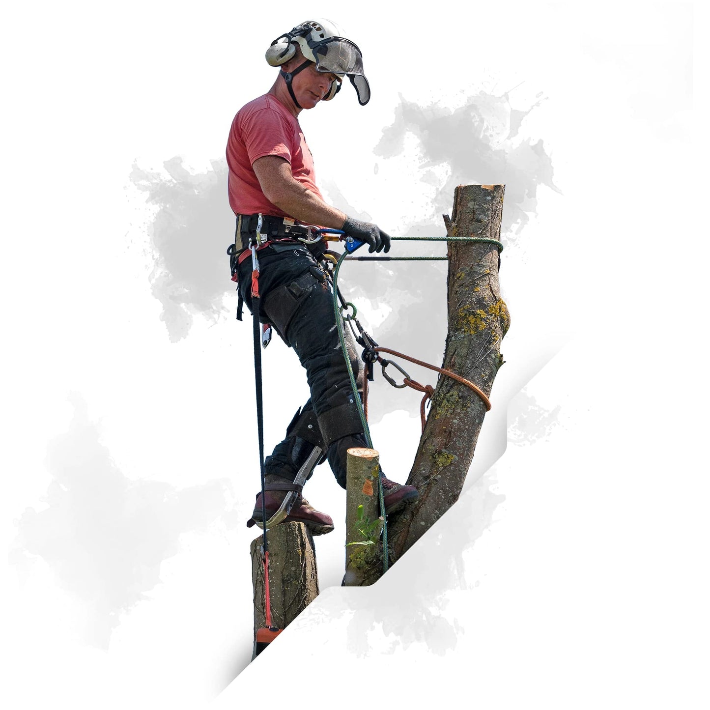 Pelican Rope 24-Strand 7/16 in (11 mm), USA Made Arborist Rope - 7,000 lb MBS - Static Climbing Rope - Lightweight - Arborist-24™ - 120 Ft - Plain End - Yellow Black