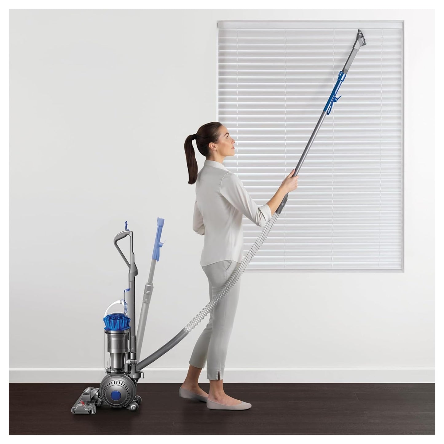 Dyson Ball Animal 2 Plus Corded Vacuum