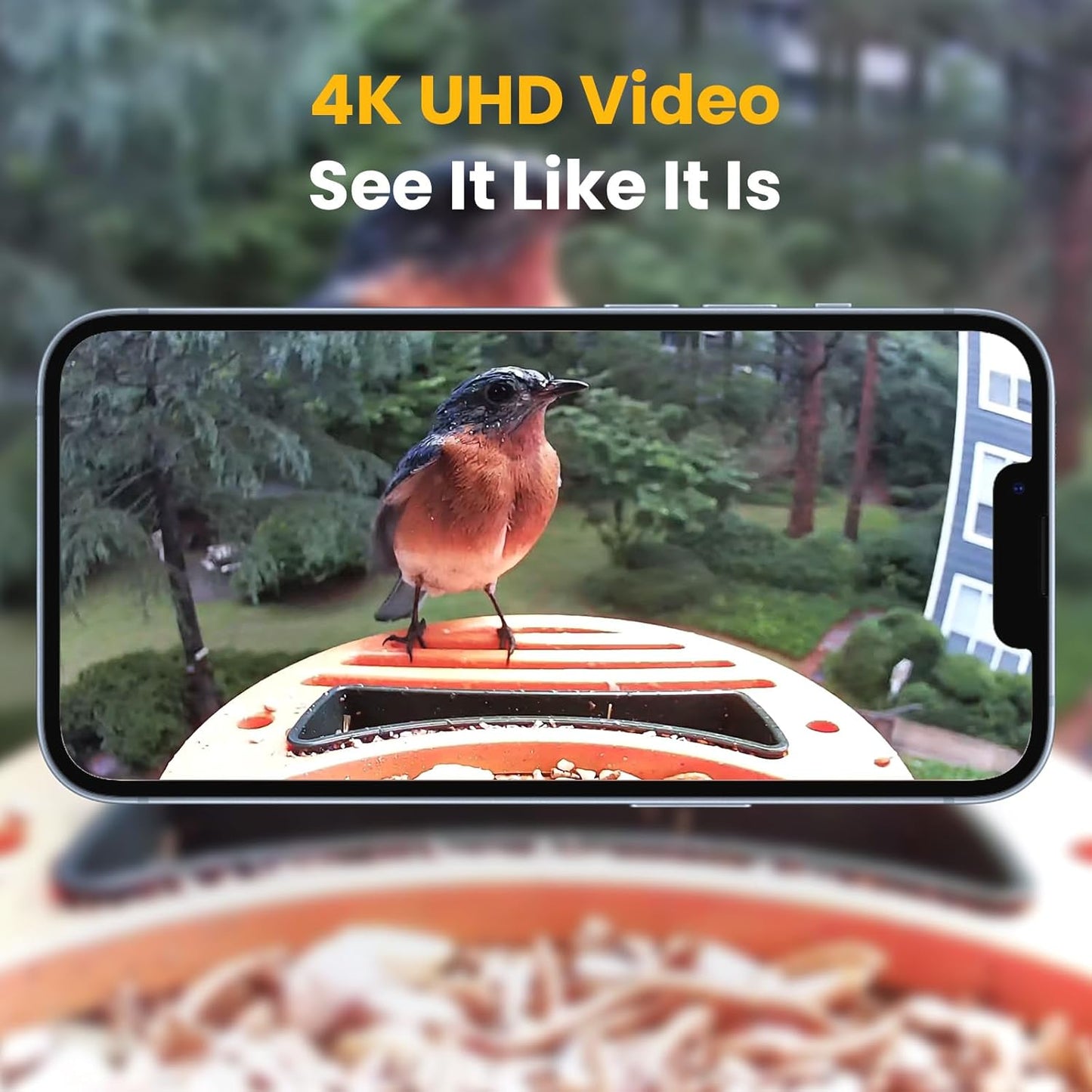 WLNYUGS 64GB 4K to100MB/s, U3, V30, A1, TF Card, No Cloud Subscription Needed Anymore, Ideal for Bird Feeder Camera, Up