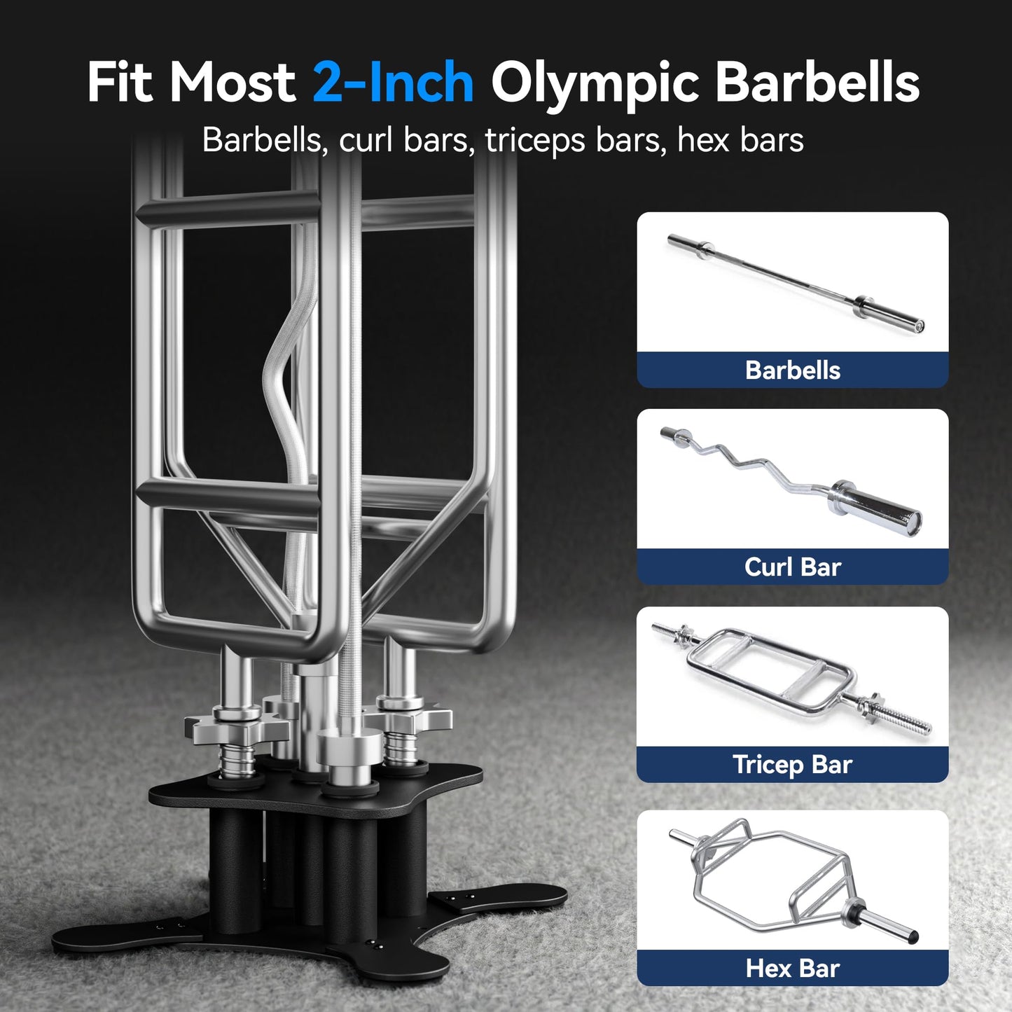 Vertical Barbell Holder for 2-Inch Olympic Bars – Bar Storage Rack for Barbells, Curl Bars, Triceps & Hex Bars