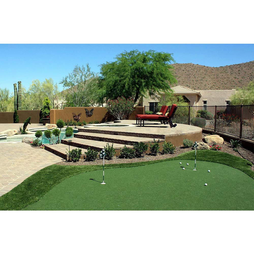 WarmShe Golf Putting Green - Artificial Grass Turf 5FT X 10FT, Indoor/Outdoor Training Mat, Synthetic Fake Grass for Baseball, Football, Gym Sports