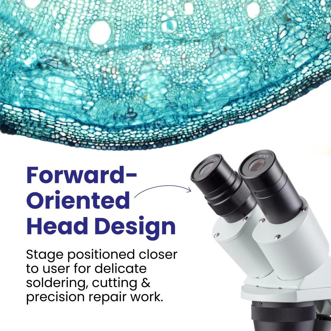 AmScope SE306 Series Compact Multi-Lens Binocular Stereo Microscope - 20X-40X Magnification - Sturdy, Forward-Mounted Microscope with Pillar Stand & Angled Head
