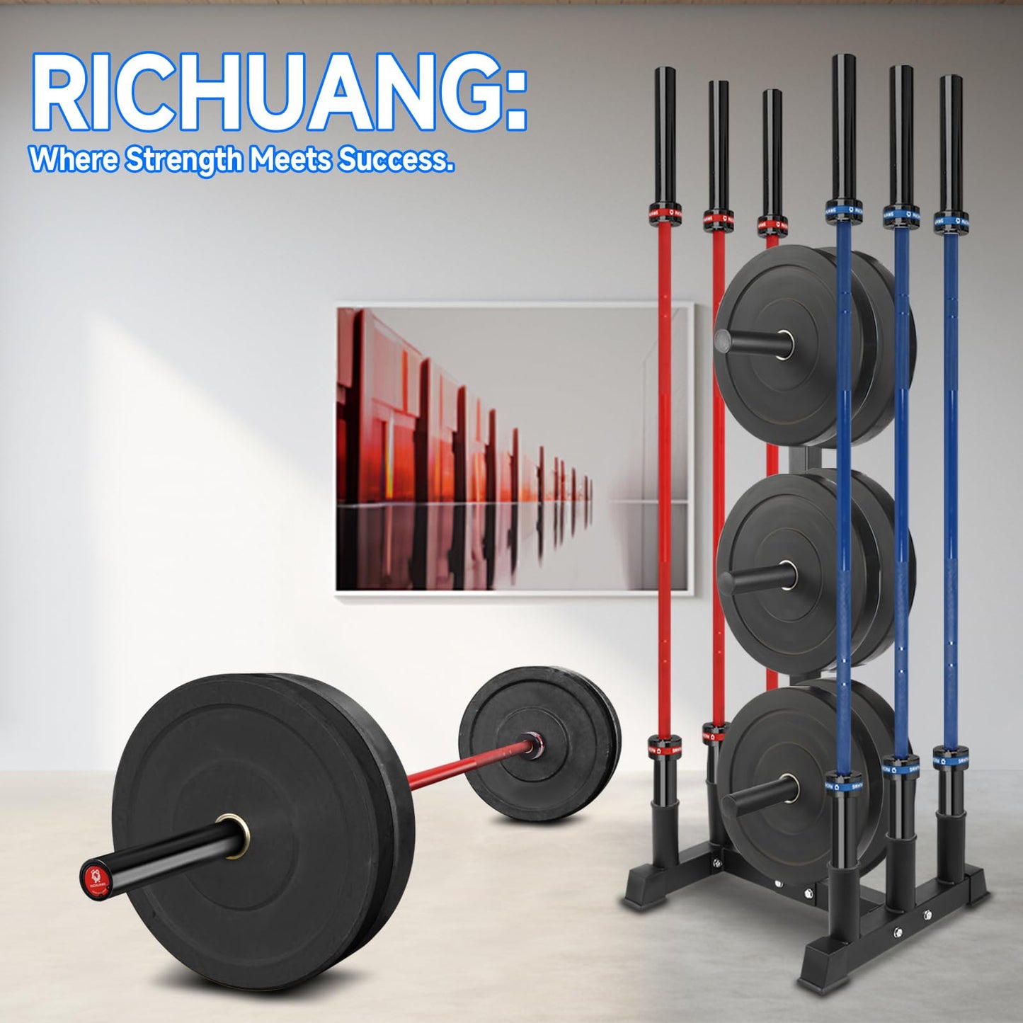 RICHUANG Olympic Weight Plate Rack for Bumper Plate Storage, 2 Inch Weight Plate Tree and Barbell Holder for Home Gym, 4-Pegs 6-Pegs Olympic Weight Tree, Capable of Holding Up to 880LB
