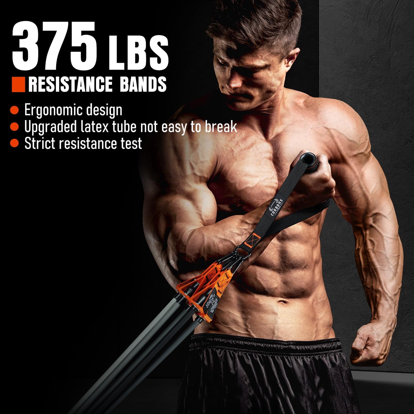 Resistance Bands with Handles, 375lb Exercise Bands for Working Out, Fitness Bands, Workout Bands with Door Anchor and Ankle Straps, Physical Therapy, Yoga, Strength Training Home Gym Equipment