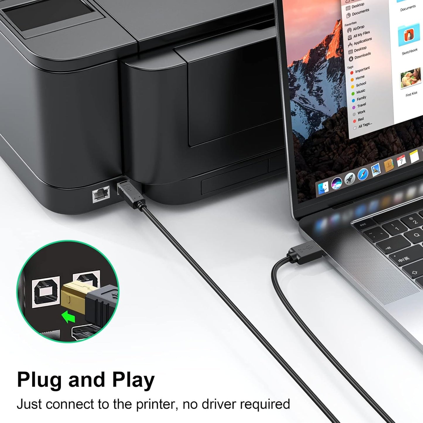 20 Printer Cable FT - USB A to USB B Printer Cable Compatible with HP, Canon, Brother, Samsung, Dell, Epson and More